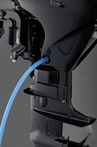 Flushing_Port